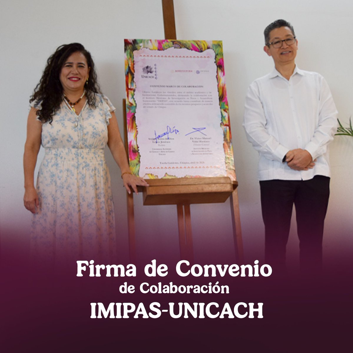 IMIPAS tweet media