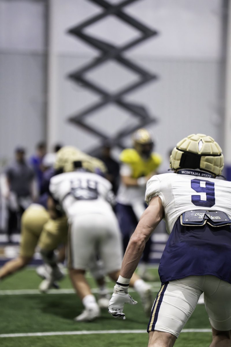 Montana State Football tweet media