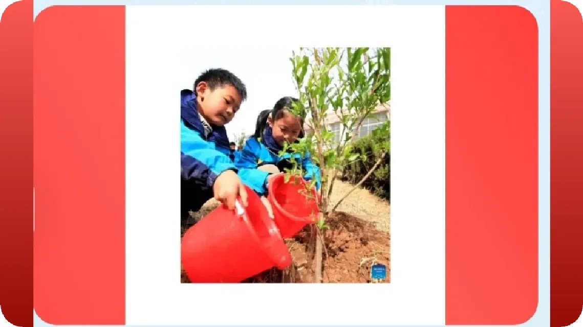 AbbasAbbas92066's tweet image. This image says it all 🌿
It starts with you. Make a difference.

View the post 👉 app.ecox.network/community/post…
Earn GREEN on ECOX Network while you act:

#ECOX #GREEN #ECO_TO_EARN