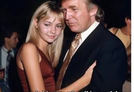 basha gemini tweet media