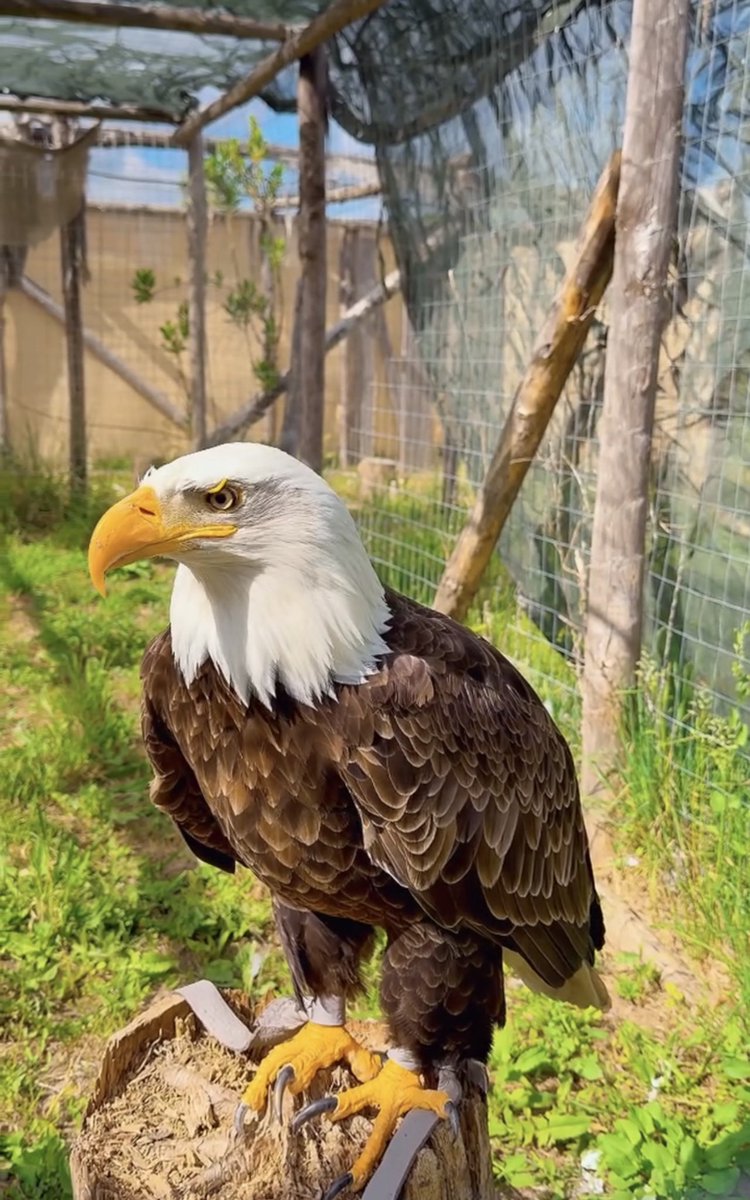 Claudia_Tonon tweet media