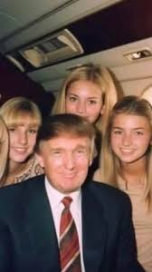 basha gemini tweet media