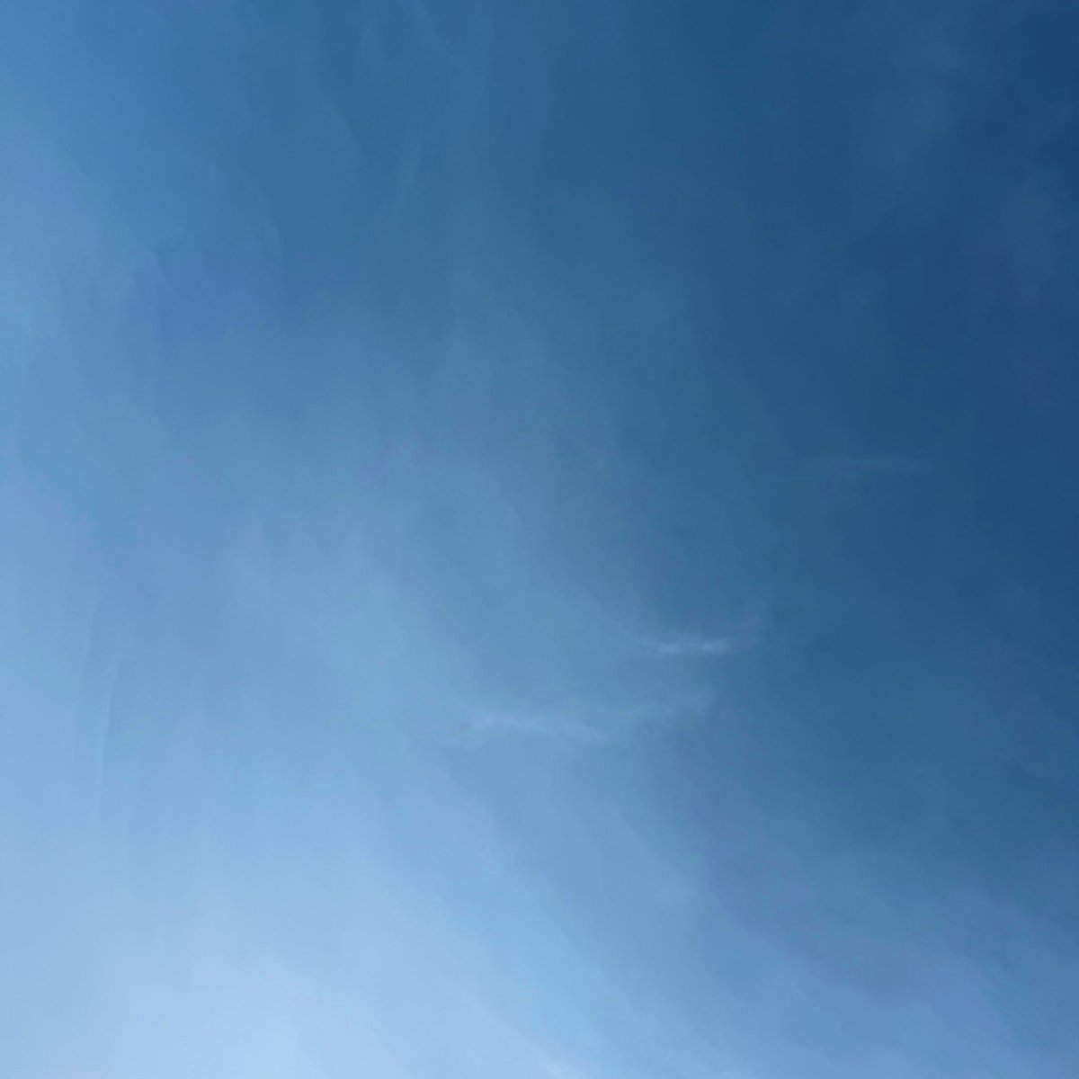 imagine works tweet media