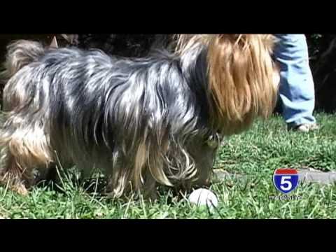 Addiction-Rep tweet media