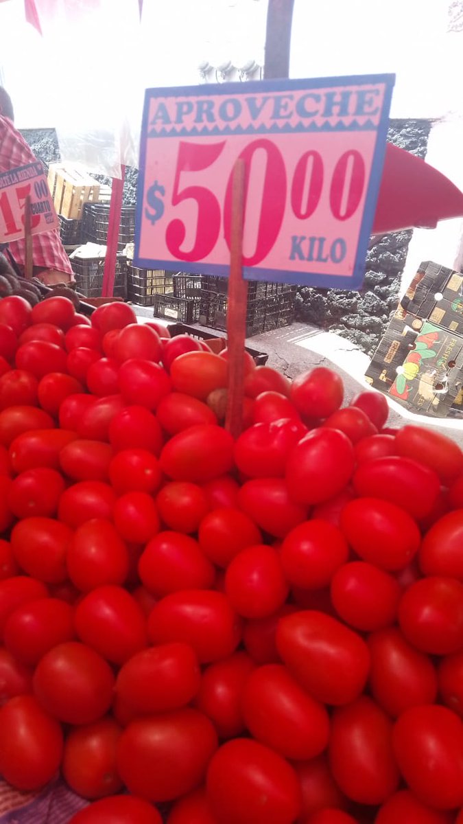 Sofía Lanchimba tweet media