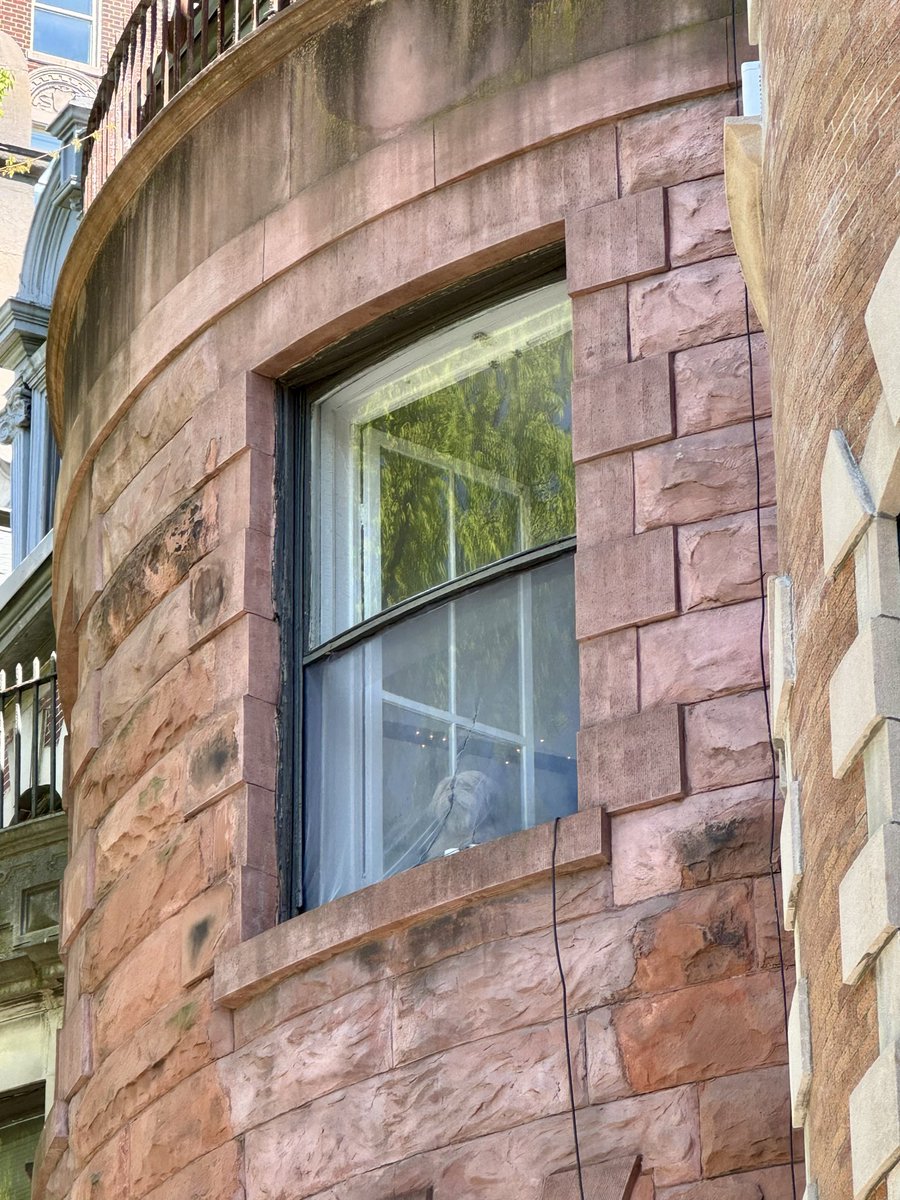 Sophie Vershbow tweet media