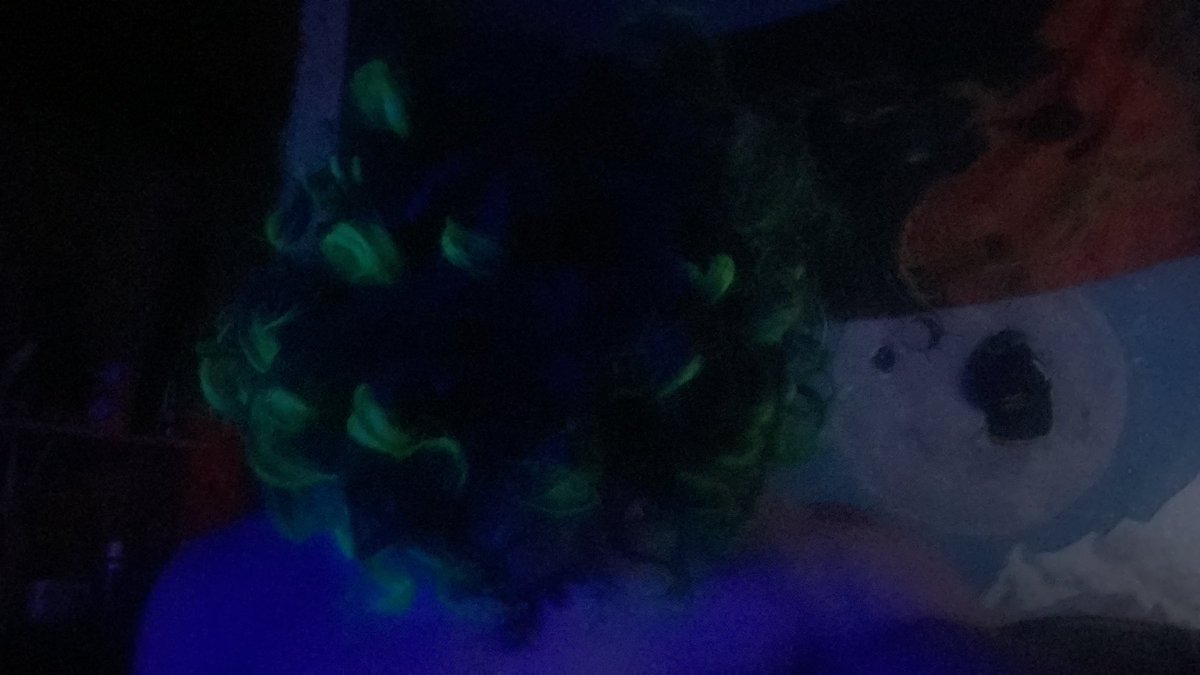 girafa pipas 🦒🪁 tweet media