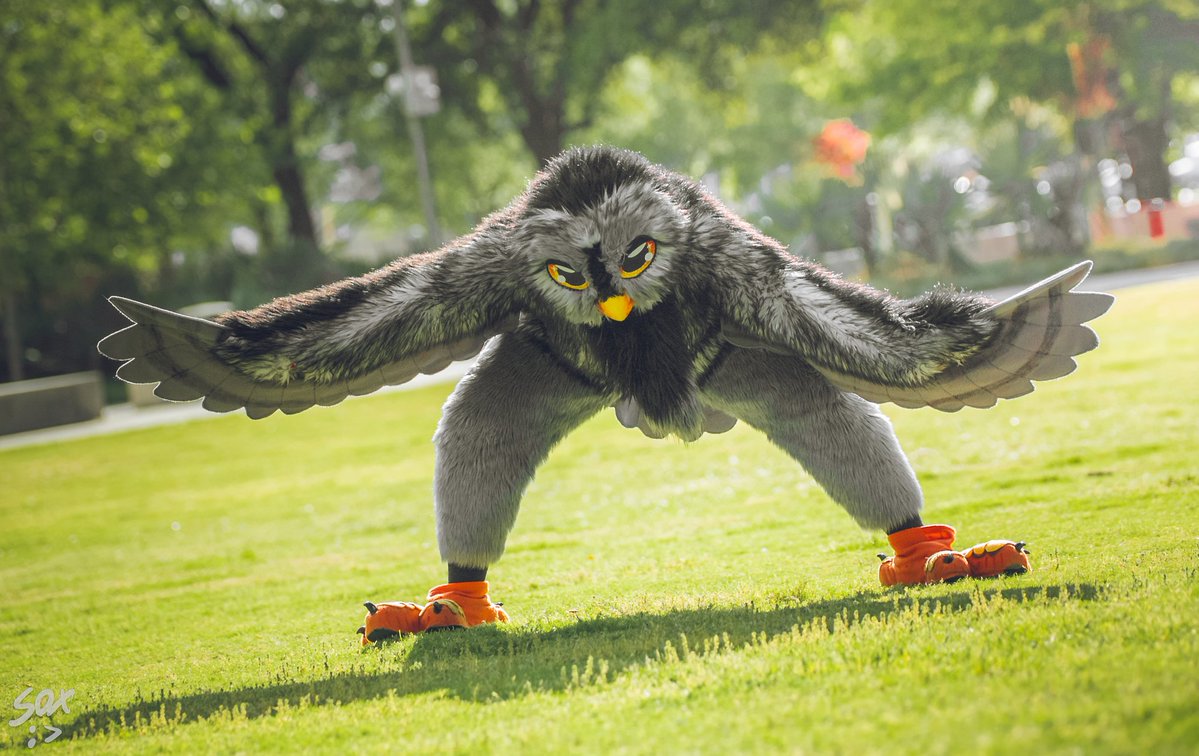 Melonlorrr's tweet image. ME WHEN GRASS!!!!!!

I LOVE TOUCHING GRASSSSSSS!!!!

🪡 @TheBeastcub 
📸 @SilySox 

#touchgrass #birb #owl #furry