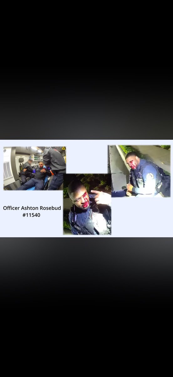 The Facts Dude 🤙🏽 tweet media