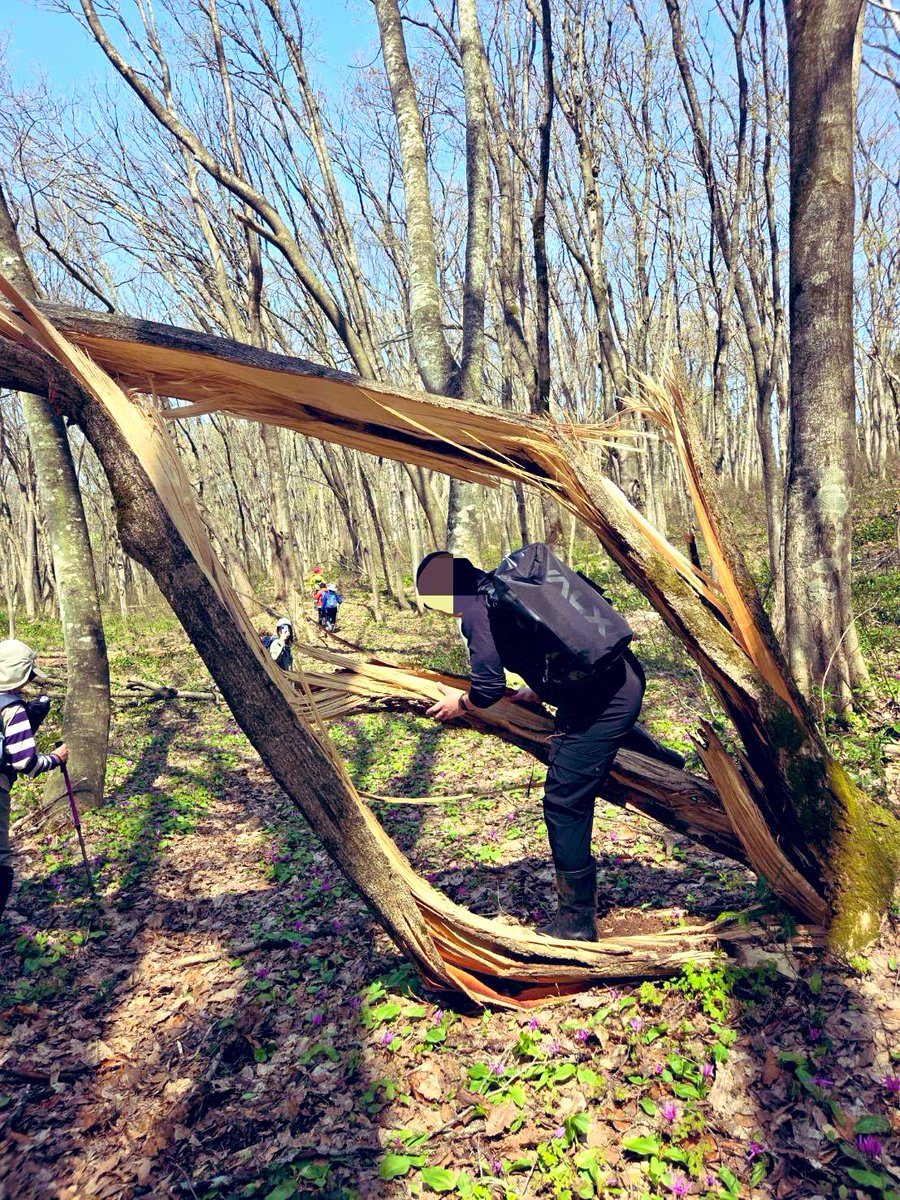 イガシ@毎日筋肉痛 tweet media