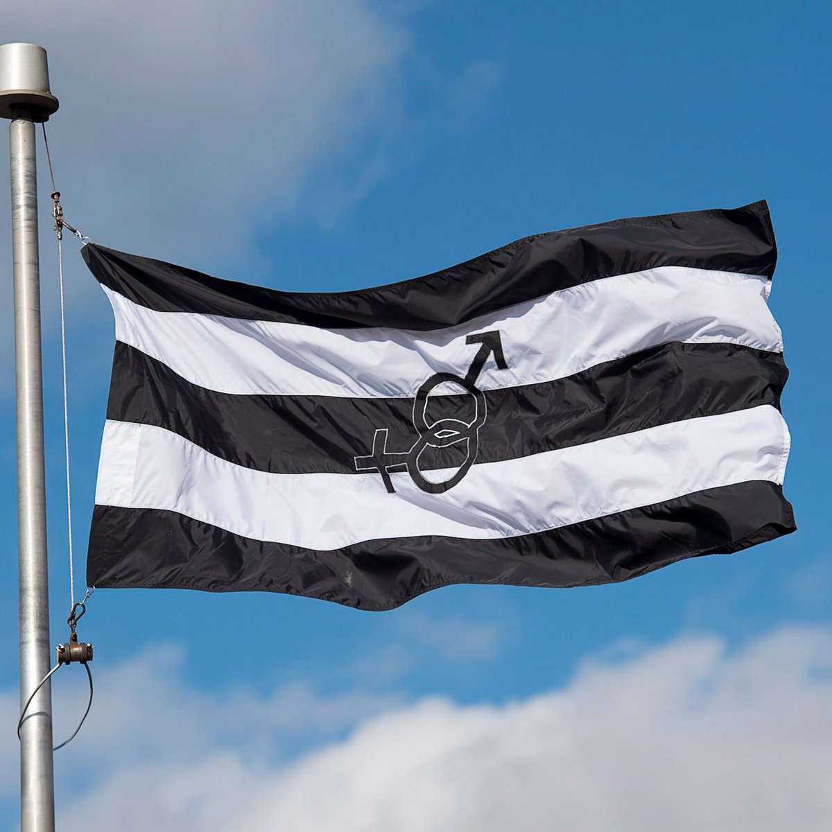 SASAKINATSUO's tweet image. Me and my flag #STRAIGHTPRIDE #Heterosexual #Straight 🖤🤍🖤