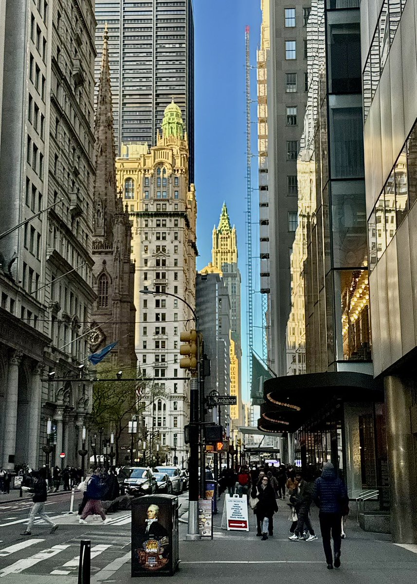 New York City Kopp tweet media