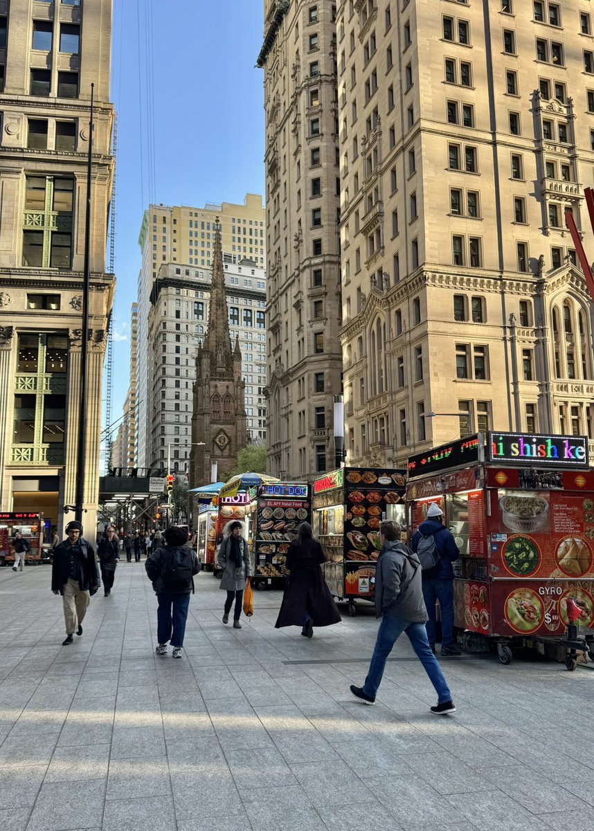 New York City Kopp tweet media