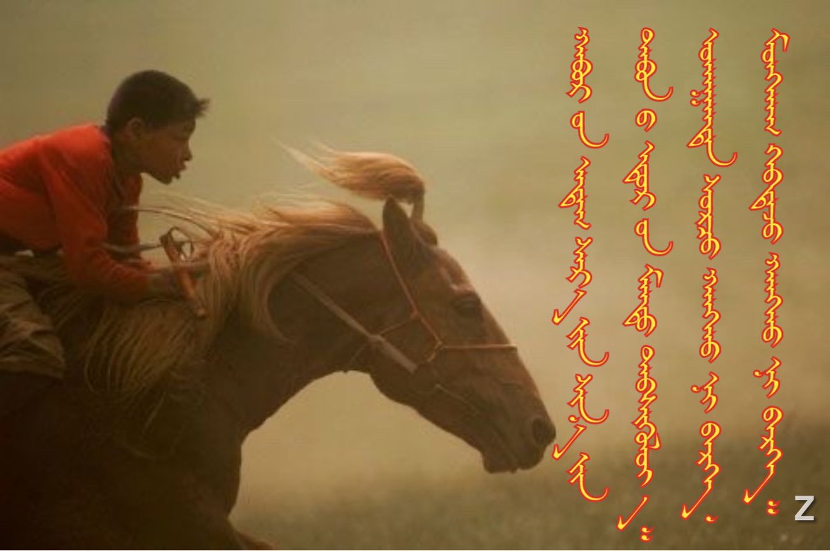 B.Boldbaatar tweet media