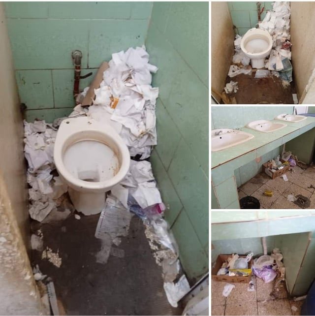 Lola Lolita tweet media