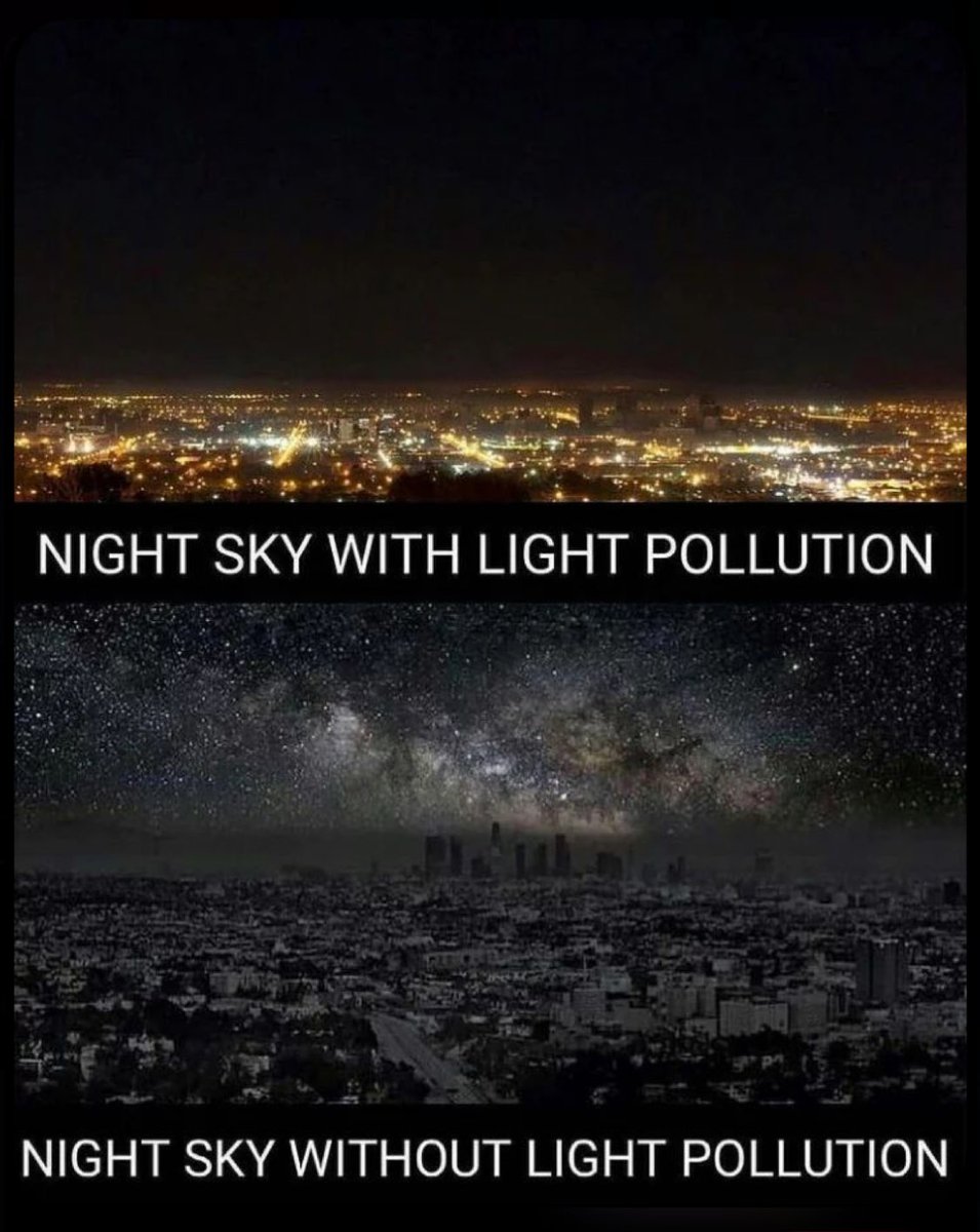 Stefania tweet media