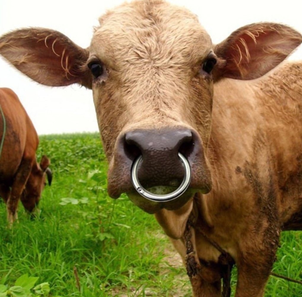 getting some coffee tweet media