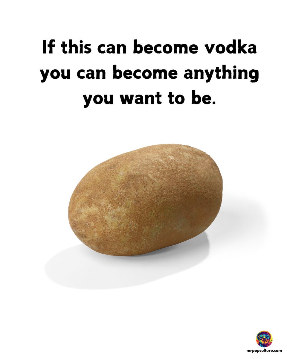 itsmrpopculture's tweet image. Lets all become Vodka 🤣🤣🤣
#potatoe #vodka #lifegoals