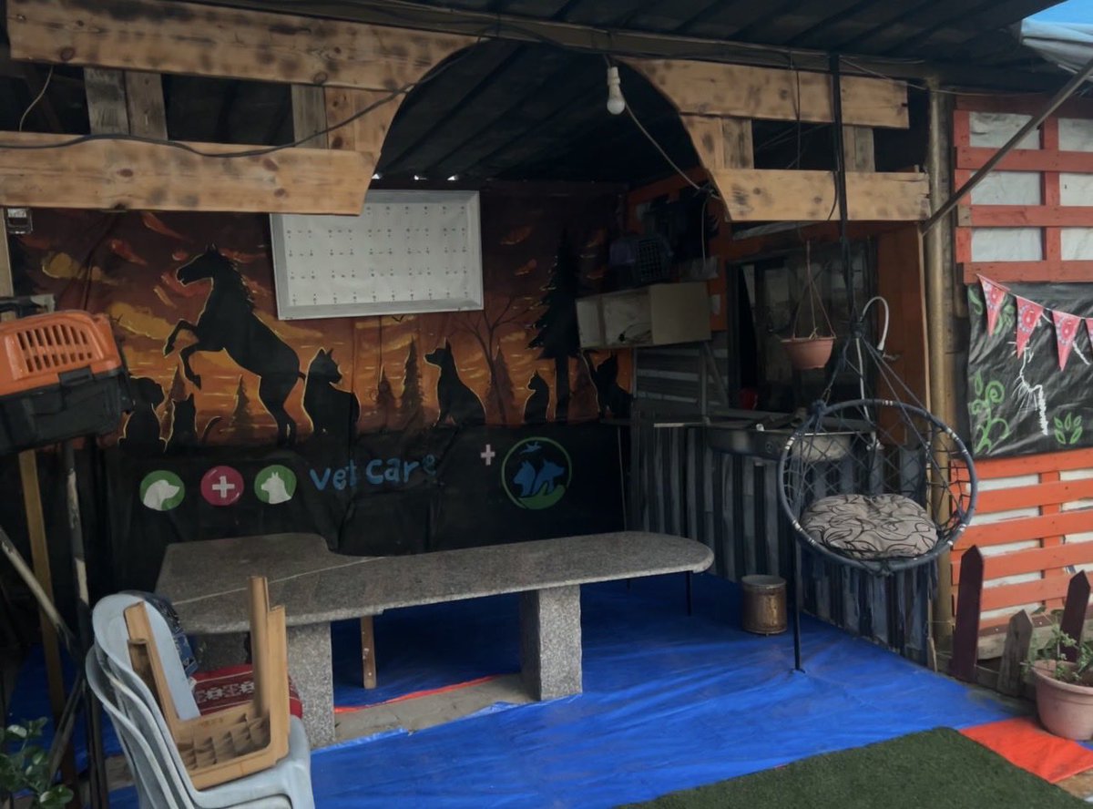 RescueCare's tweet image. From the heart of suffering in Gaza, where sorrow fills every corner, we chose to be the hands that heal.🐾💔 Today✨, with immense pride, we began completing our veterinary clinic within the shelter. Despite the scarcity of resources and the difficult path ahead, we refuse to