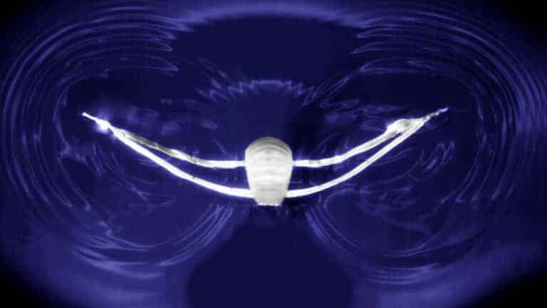 NC State University tweet media