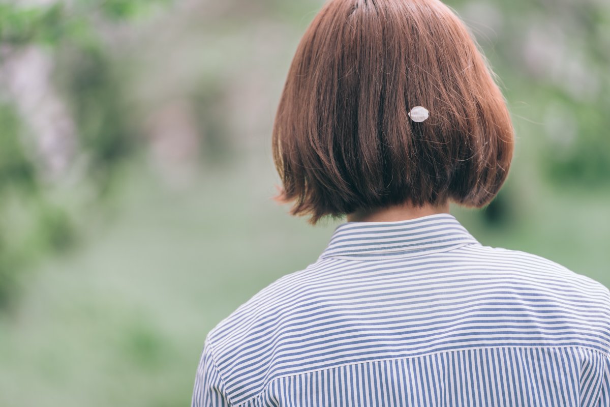 🔰teda tweet media