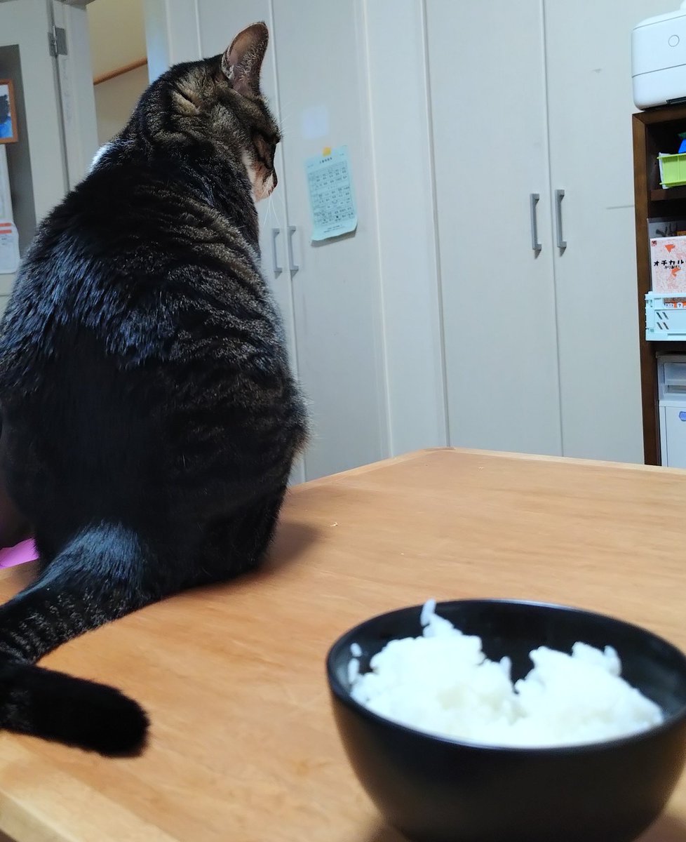 びんごぼんご tweet media