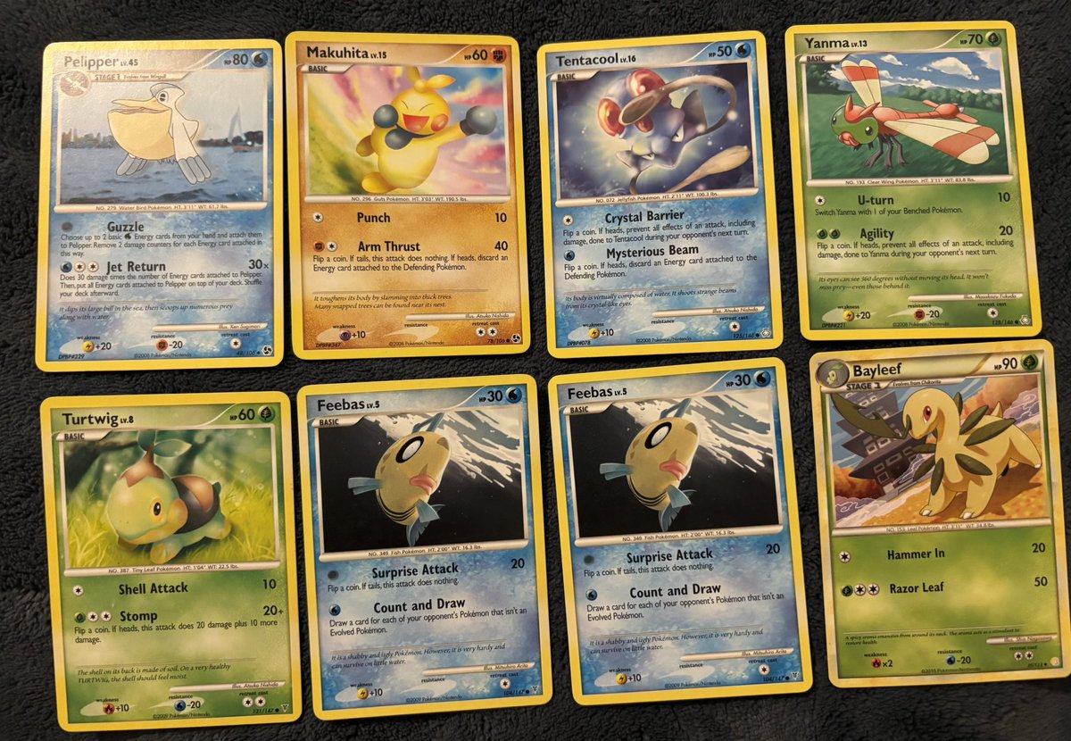 🍂🍜 Cards of Noodles🍜 🍁 tweet media