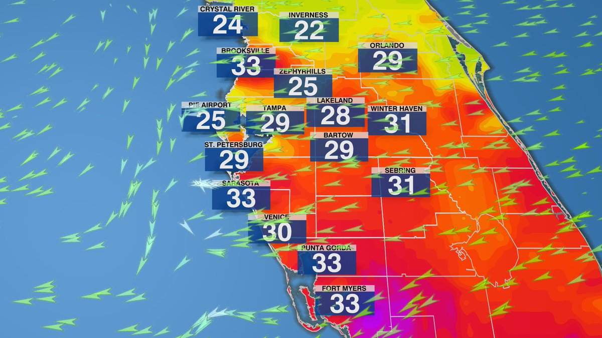 WeatherProf's tweet image. A prime example of critical fire danger today in #Florida.
Relative Humidity like a desert at 25-35%... and wind gusts over 30 mph, combined with crsipy dry ground and severe-extreme drought. Any sparks could cause a disaster. We must be mindful.