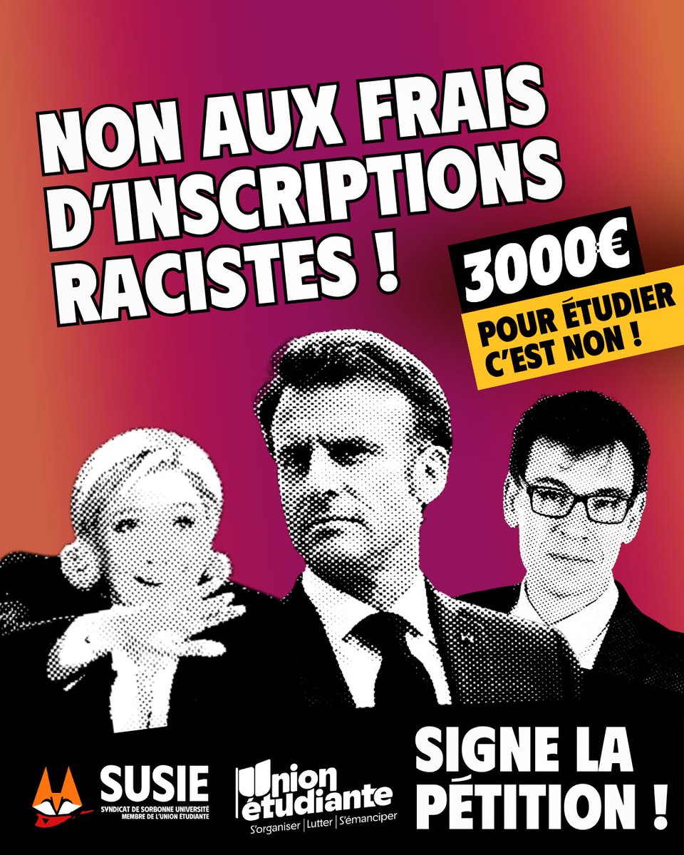 SUSIE 🦊 tweet media