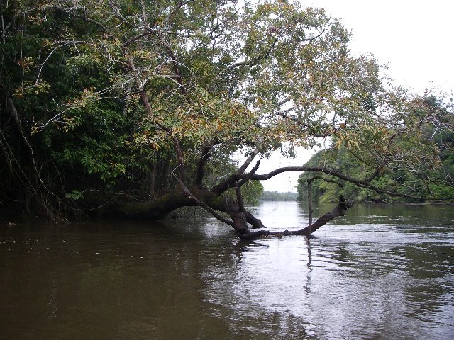 スリッシャーズアクアリウム tweet media