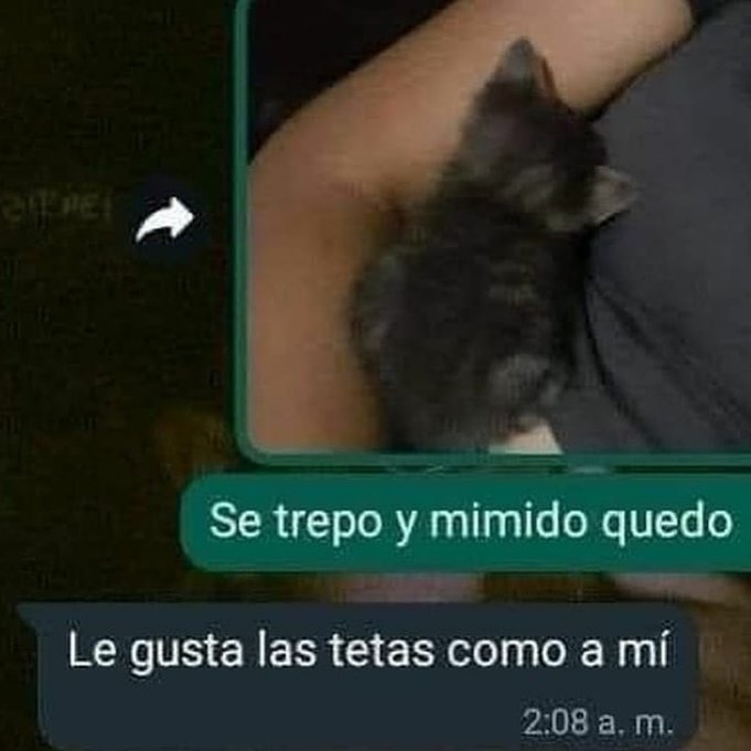 Si te sigo eres un tibio #TibiosDeCojones🍁 tweet media