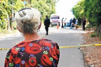 Sivar al Día tweet media