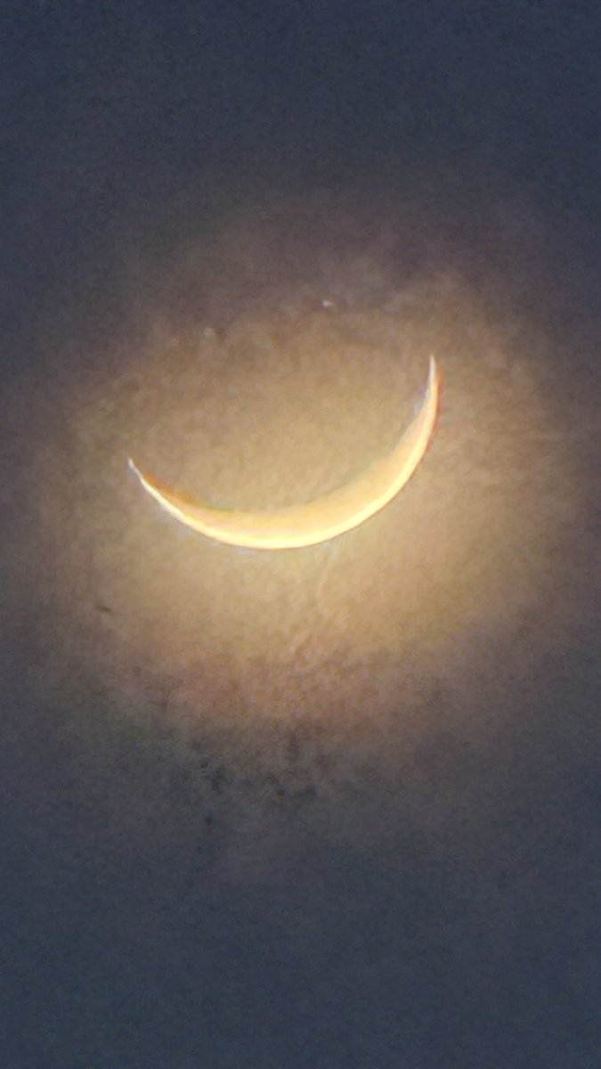 篤☆悶（あつもん） tweet media