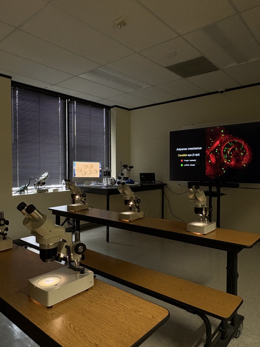 ICRdiscovery's tweet photo. We're gearing up for some exciting workshops during Homeschool Days here at the Discovery Center! Come join ICR biologist Dr. Michael Boyle as he takes students through a hands-on microscope workshop exploring the engineered biology of cavefish. 

The microscope workshop begins at 11:30 a.m. both days, and a zoology workshop will be offered at 2:30 p.m.

Space is limited, so be sure to let our front desk know when you arrive to reserve your spot!

🎟️https://t.co/G0O7le0yjz