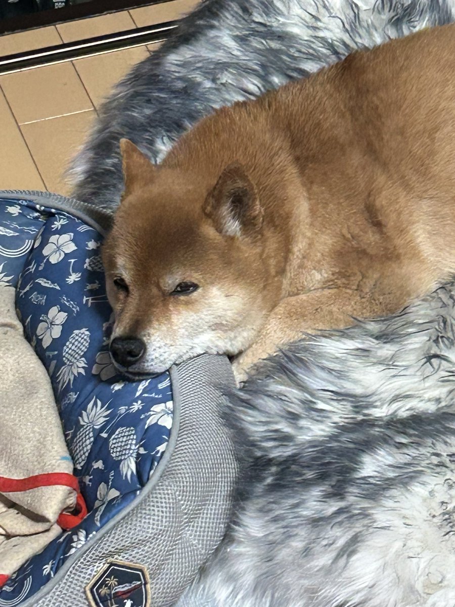 H I R O M I tweet media