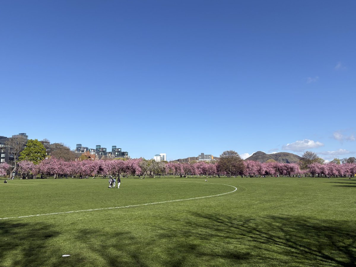 iantabbs's tweet photo. @TomDuffinPhotos The Meadows https://t.co/K9vIWDfdLF