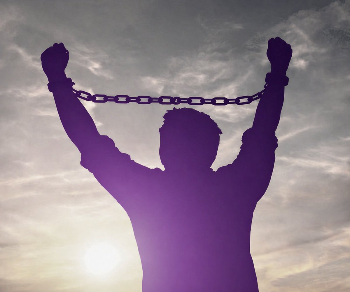 The Pipeline tweet media