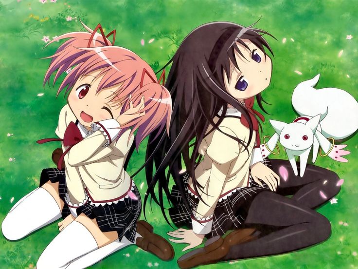 daily madohomu 🍉 tweet media