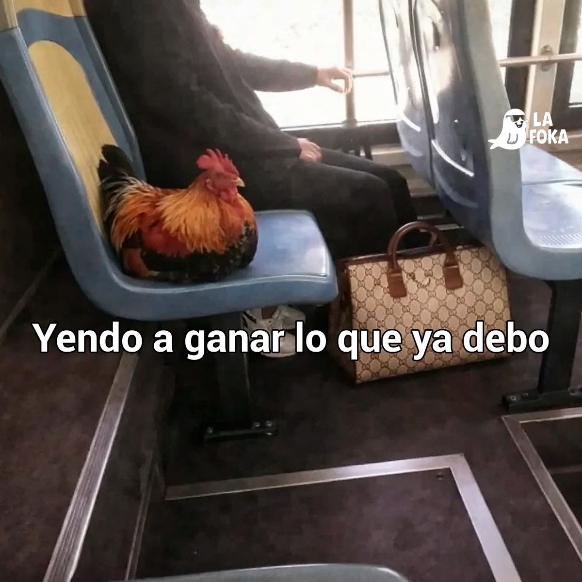 Carlosv tweet media