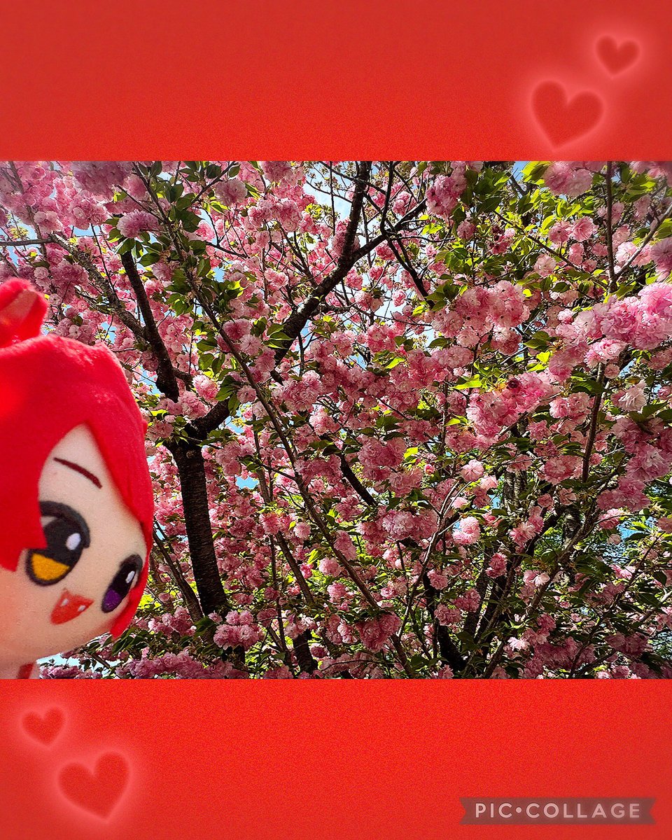 いちゅ❤️ tweet media