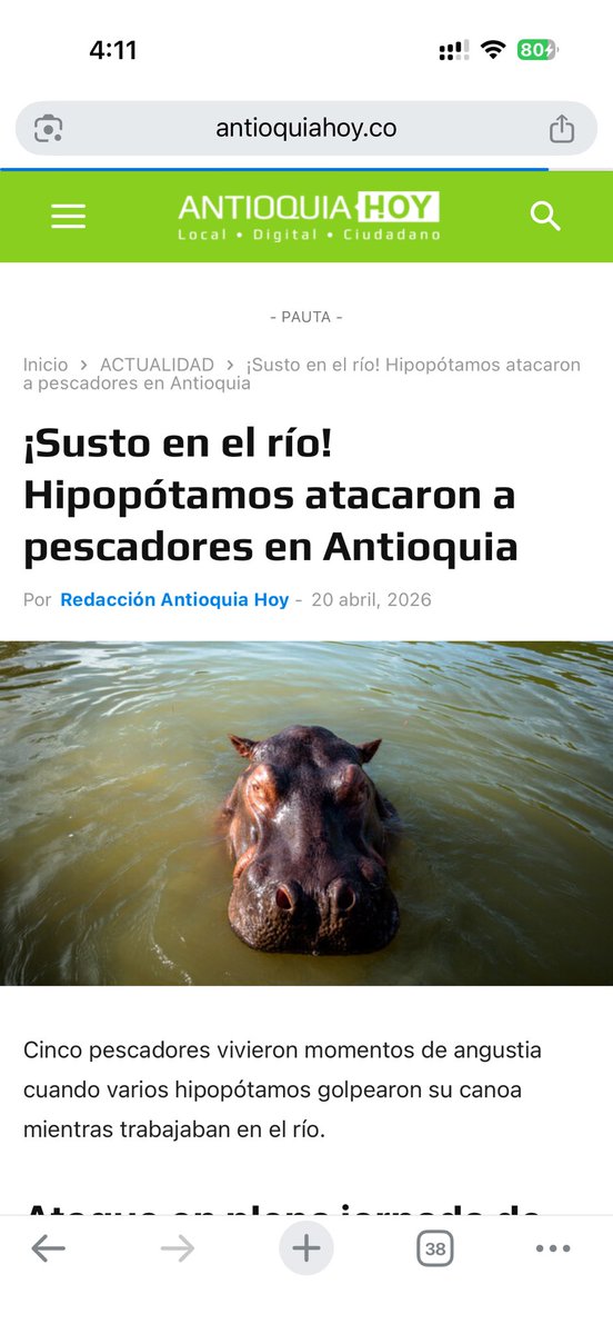 Ayer hipopótamos atacaron a pescadores.

Nunca había sentido tanta impotencia. Todos los argumentos están dados, están sustentados en la ética que regula la ciencia y en la empatía hacia los humanos y las especies nativas que además son súper pacíficas.

Voy a ser muy cruda, en