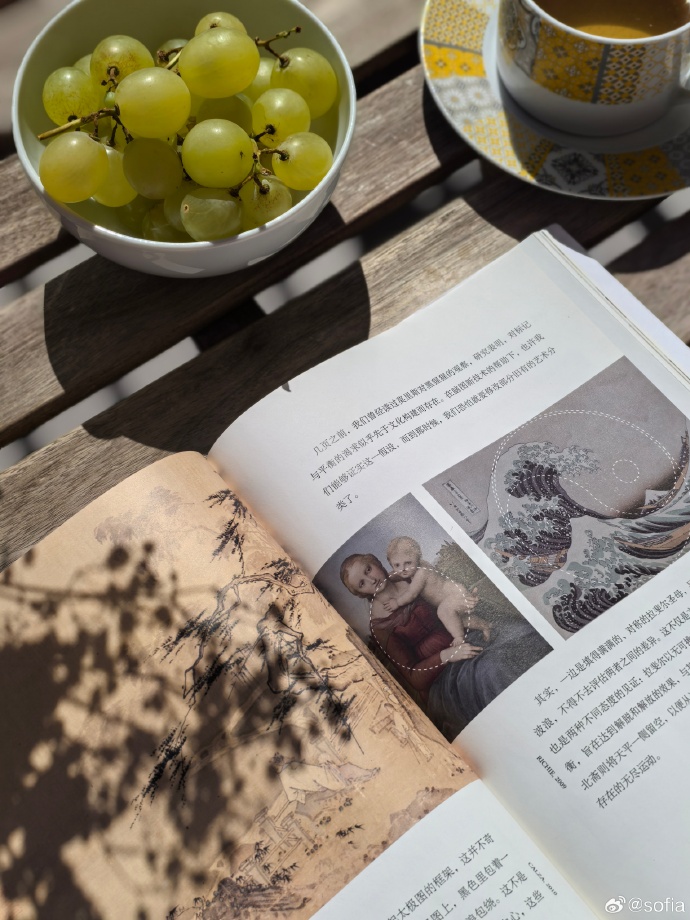 aylee allen-rhea tweet media