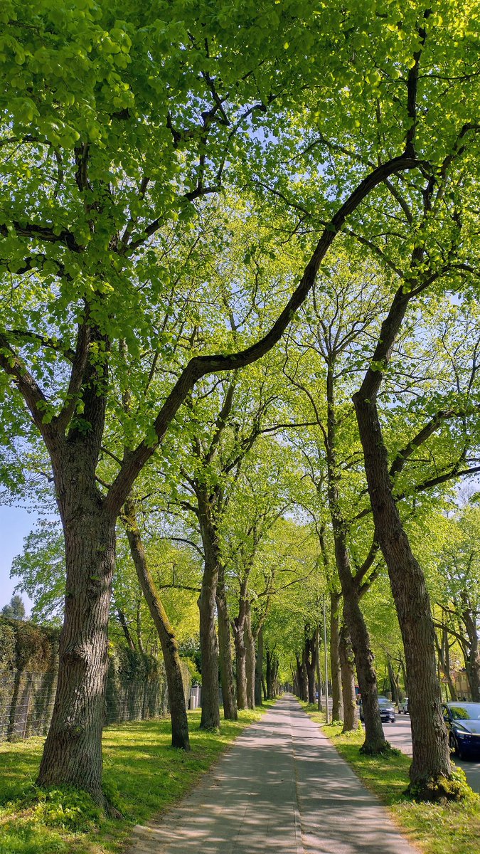 Stéphane Nature & Technique 🌳🚵🌄🏕️✨ tweet media