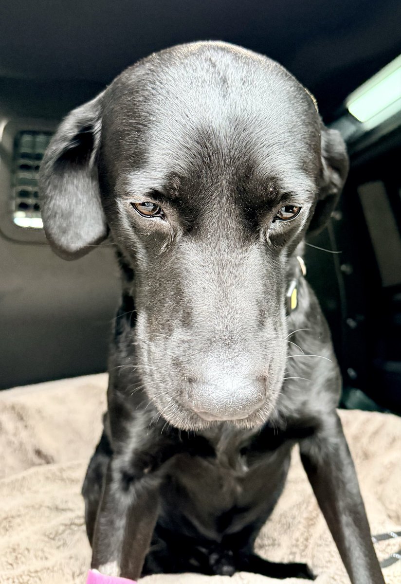 Nick Nairn tweet media