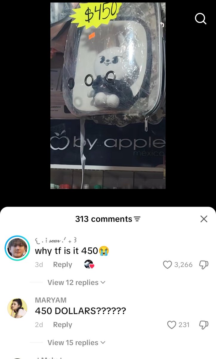 ❅ hae quokka VIO A SKZ tweet media