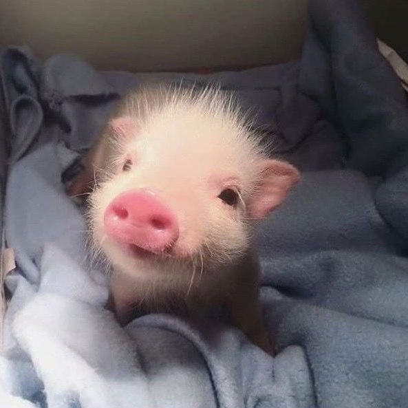 amwendy 🥯 tweet media