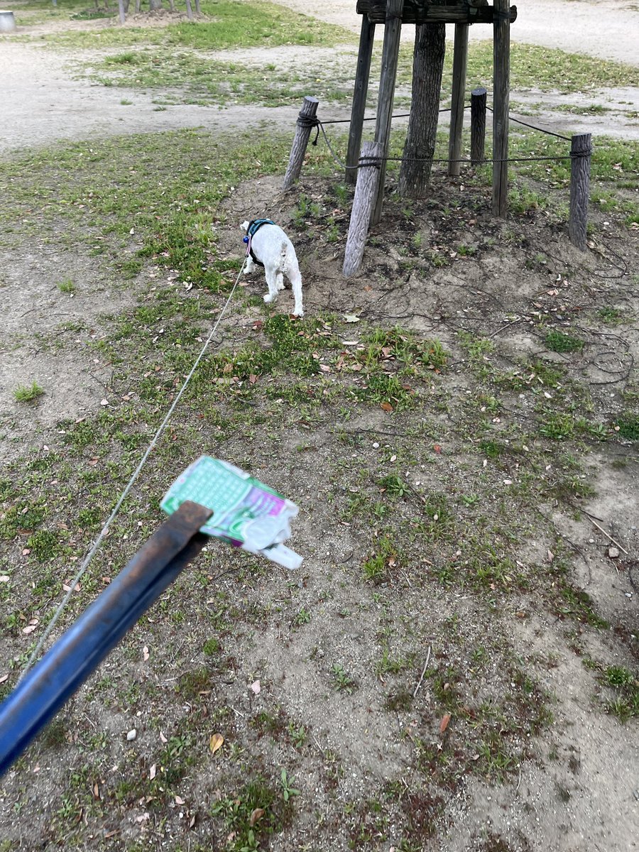 mikio0326's tweet image. #luckystrike 092
#ポイ捨て
#ごみとい