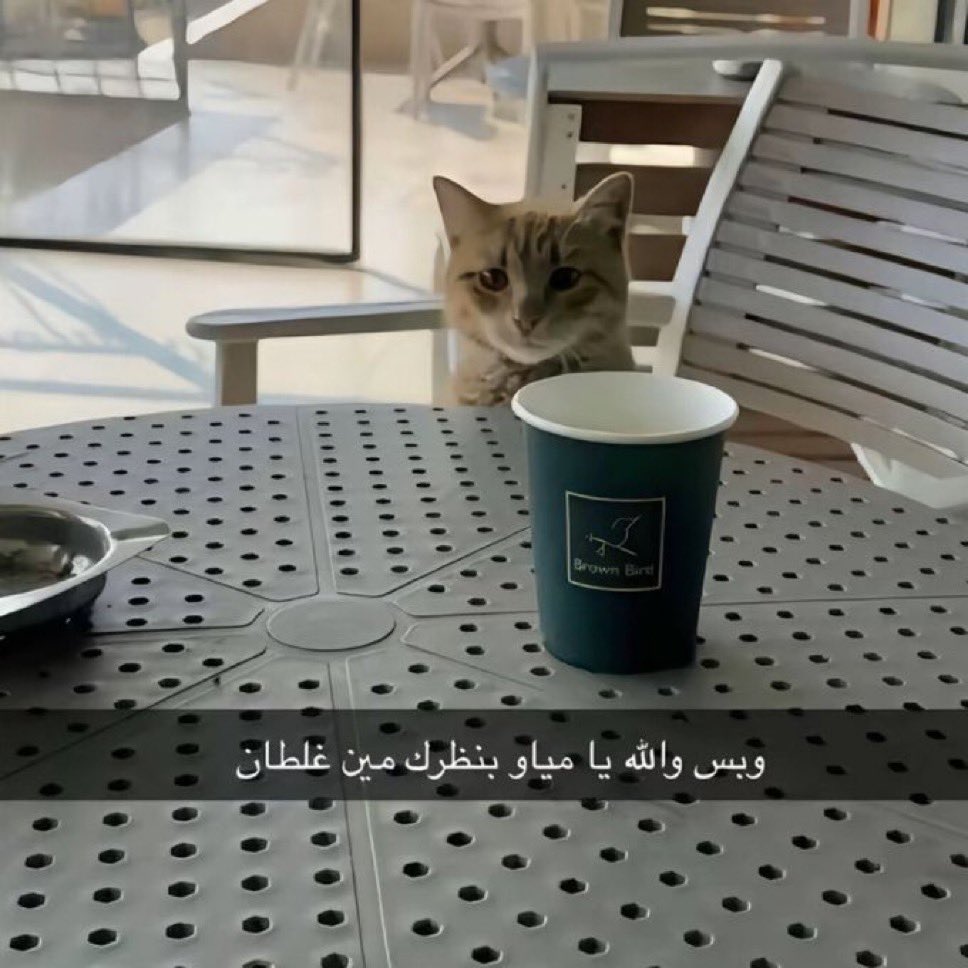 َََََ tweet media