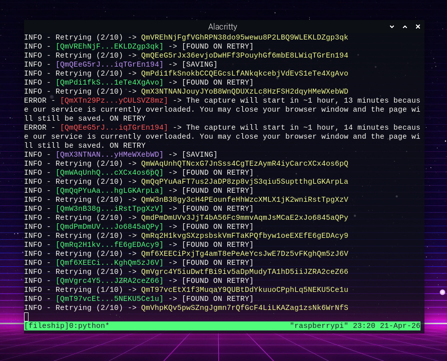 Jack 🏴‍☠️ tweet media