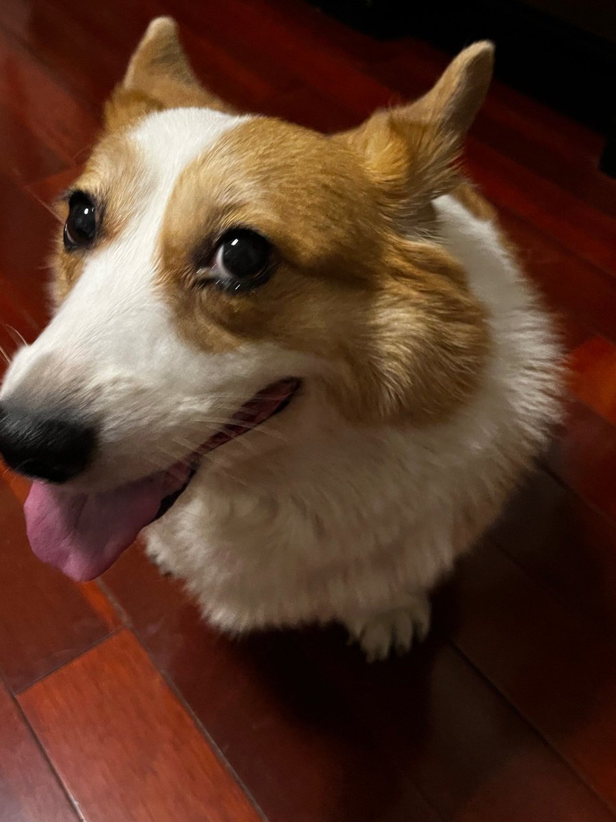 Артём Алексеевич tweet media